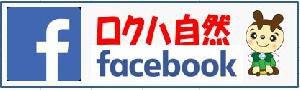 ロクハ公園facebook