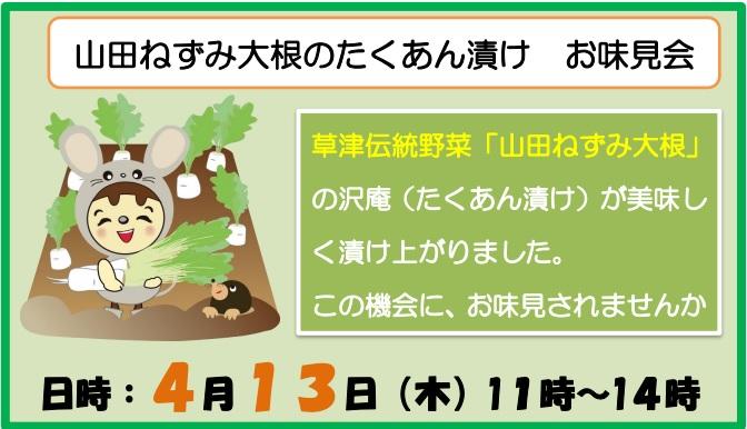 「山田ねずみ大根たくあん漬けお味見会」開催