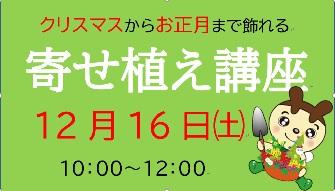 寄せ植え講座　開催します！～公園との連携事業～